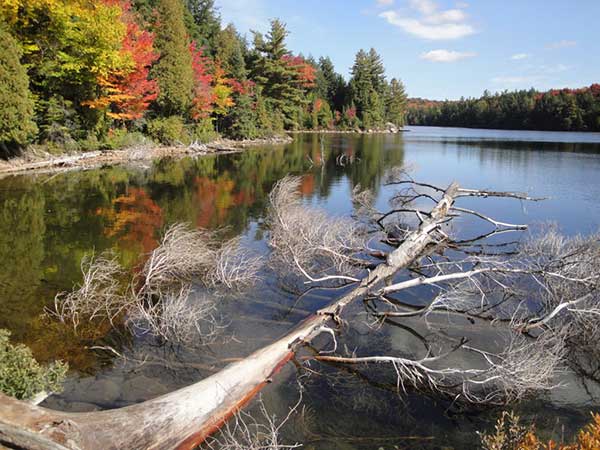 landscape picture